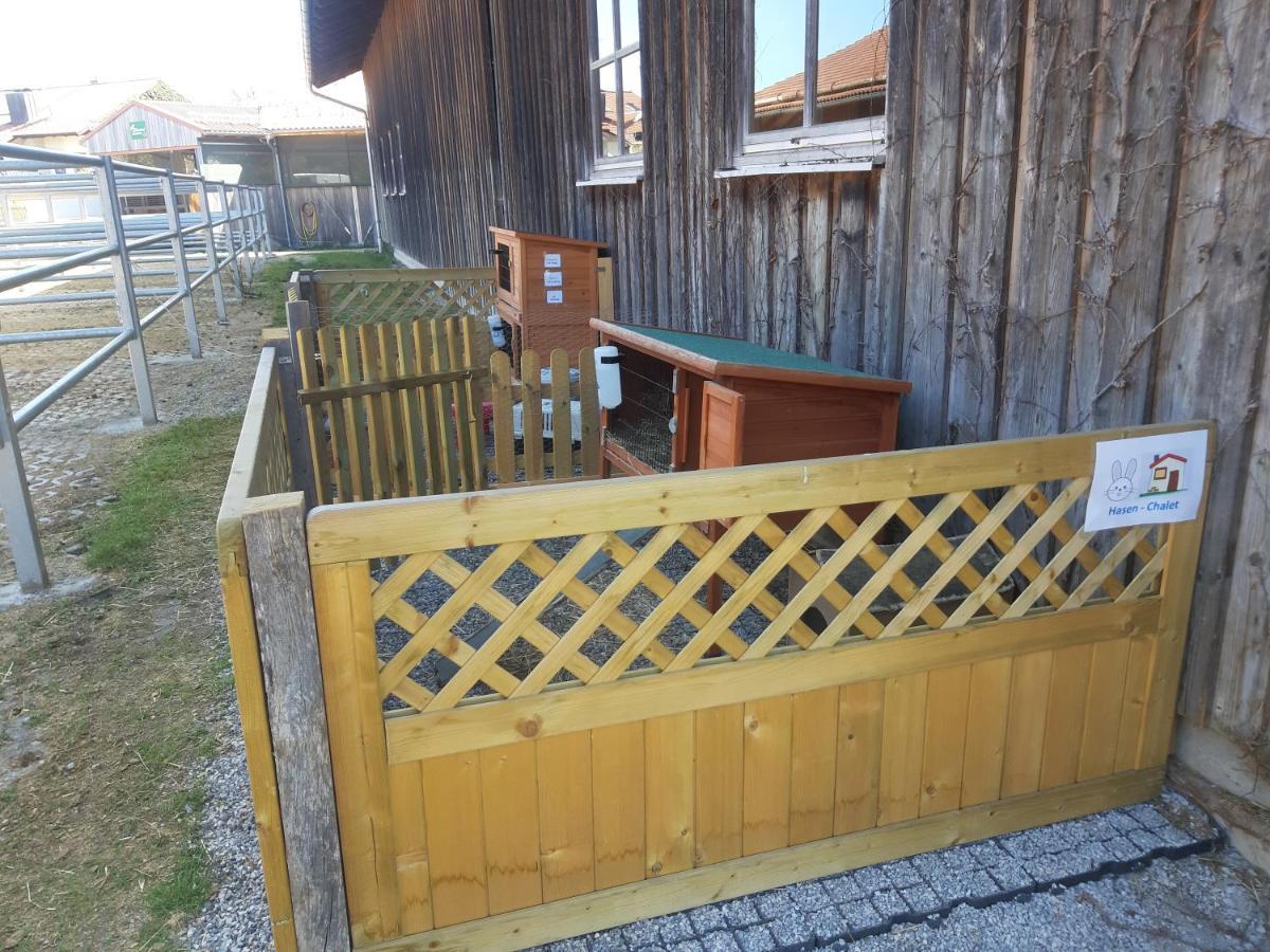 Ferienwohnung Pferdehof Pankratz Iffeldorf Buitenkant foto